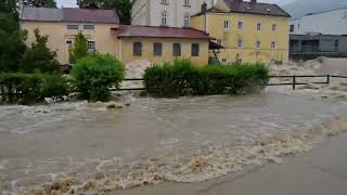 Erlauf in Scheibbs  Hochwasser  Unwetter 1592024 1100 [upl. by Imorej504]