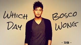 VietsubPinyinFMV Which Day  Bosco Wong 第幾天 第几天 黃宗澤 黄宗泽 OST Dicey Business TVB 2006 [upl. by Evers]