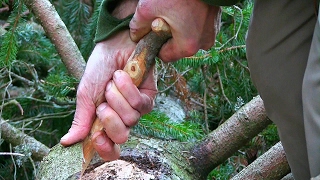 Bushcraft Skills for long term Wilderness Survival How to make a bark container for cooking food [upl. by Yaakov568]