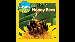 Read with Chimey National Geographic Kids Honey Bees read aloud [upl. by Nayrbo168]