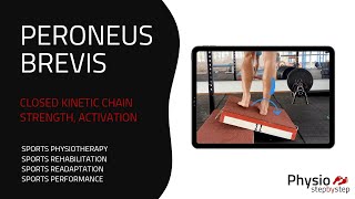 PERONEUS BREVIS  Closed Kinetic Chain Strength Activation [upl. by Alisha]