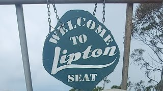 Lipton seat  Haputala [upl. by Vadim]