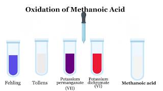 Carboxylic Acids Naming Preparation and reactions [upl. by Longan]