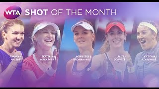 2015 WTA Shot of the Month Finalists  February [upl. by Scully]