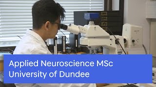 Applied Neuroscience MSc  Medicine  University of Dundee [upl. by Haslam]