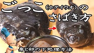 ［解説付き］【冬が旬の旨い珍魚】ごっこ「布袋魚ホテイウオ」のさばき方と卵の下処理 How to prepare Smooth lumpsuckerFish gelatinous [upl. by Adlei]