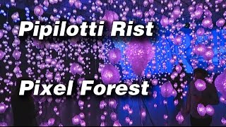 Pipilotti Rist  Pixel Forest  New Museum  Preview [upl. by Roach]