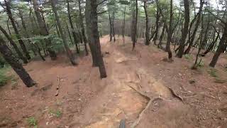 구미 천생산 천생고도 천해사8 Trek session 99 Rail 98 emtb 트렉 세션 레일 EMTB [upl. by Eedya]