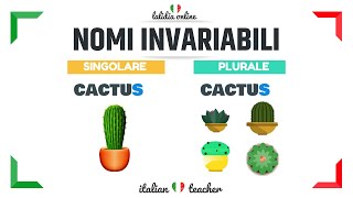 NOMI INVARIABILI  GRAMMAR  Italian for Beginners [upl. by Femmine]