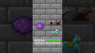 Czy można POFARBOWAĆ ZBROJĘ dla KONIA w MINECRAFT 🐴🎨 short [upl. by Nicolais]