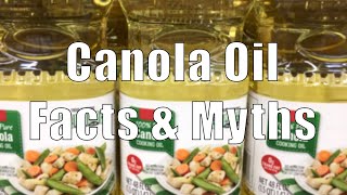 Canola Oil Facts amp Myths 700 Calorie Meals DiTuro Productions [upl. by Yeslrahc31]