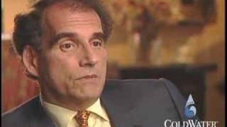 Dr David Berlinski Random Mutations Clip 7 [upl. by Obbard242]