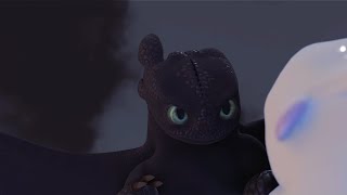 Toothless x Light Fury Flight 3D HTTYD Delete Scene [upl. by Aehsat]