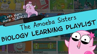 Amoeba Sisters Biology Learning Playlist Introduction [upl. by Mosira]