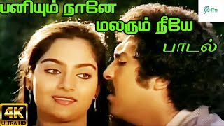 Paniyum Naane பனியும் நானே மலரும் நீயே  S P BJensi Love Duet H D Song [upl. by Ettenajna299]