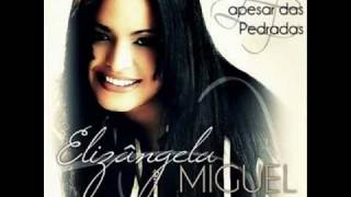 Elizângela Miguel  Apesar das Pedradas [upl. by Nrublim874]