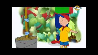 Caillou sorozat  Caillou fája [upl. by Yanal857]