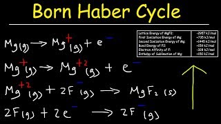 Born Haber Cycle Basic Introduction Lattice Energy Hess Law amp Enthalpy of Formation  Chemistry [upl. by Dniren]