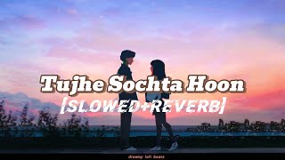 Tujhe Sochta Hoon lofi song lyrics SLOWEDREVERB ❤️ [upl. by Ymmij276]