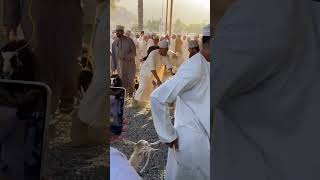 View Of Oman Goat Market [upl. by Hinkle]