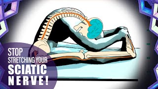 Stop Stretching Your Sciatic Nerve Yoga Anatomy Lesson [upl. by Zashin]