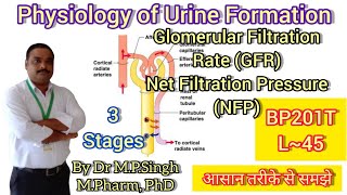 Physiology of Urine Formation  Glomerular Filtration Rate GFR  HAPII  L45 [upl. by Sokem]