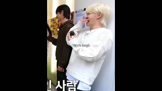 Dinos laugh compilations 🤣🤣🤣 seventeen dino leechan [upl. by Severson]