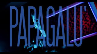 ACLI  Papagalu 🦜 Official Video [upl. by Frey]