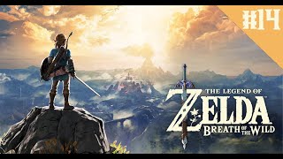 ZELDA BREATH OF THE WILD  14 NABORIS BESTIA DEL RAYO [upl. by Pontone]