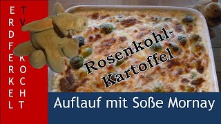 Deftiger Rosenkohl Kartoffelauflauf mit Soße Mornay günstig und lecker kochen [upl. by Lynette]