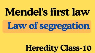 mendels first law mendels first law of segregation law of segregation mendel first law class 10 [upl. by Hauser]