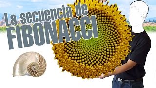 La secuencia de Fibonacci en 3 minutos Por explainers tv [upl. by Hareehahs]