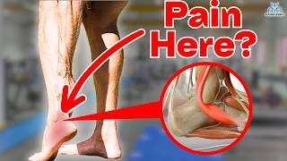 5 BEST Peroneal Tendinopathy Rehab Exercises [upl. by Anyrak]