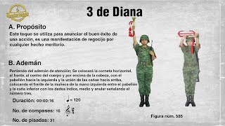 3 DE DIANA [upl. by Pinckney]