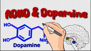 Understanding ADHD amp Dopamine Its More Than a Deficit [upl. by Aniara24]