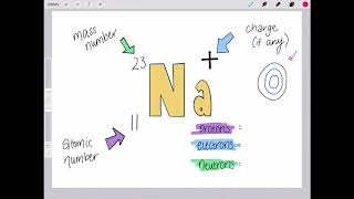 Nuclide Notation Of Ions [upl. by Enier]