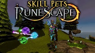 RS3 Skill Pets 03  Willow [upl. by Ettenauq480]