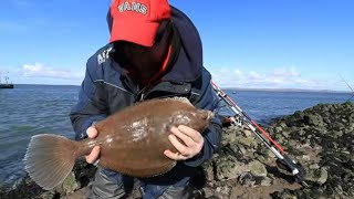 Massive Monster Plaice Mostyn Dock fishing North Wales [upl. by Abe]