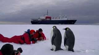 Antarctica Ross Sea [upl. by Woo]