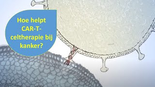 Animatie CARTceltherapie immuuntherapie  Hulpmiddel bij bloedkanker uitgelegd [upl. by Yoc]