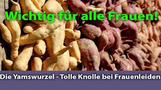 DIe Yamswurzel  Tolle Knolle bei Frauenleiden [upl. by Goff]