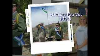 Molossia Year In Review 20112012 [upl. by Ahsimat]