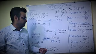 Monosomics Part 1 Methods of production of monosomics [upl. by Atsahs]