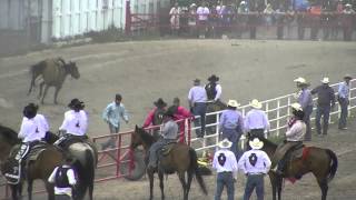 Wild Horse Race Cheyenne Frontier Days [upl. by Fidelia]