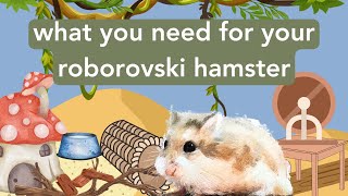 What you need for your roborovski  getting supplies for your hamster [upl. by Uwkuhceki]