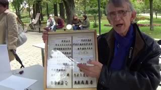 Ентомолог🐞 Про Бджіл Джмелів Ос і Користь від Комах Entomologist Tells about Wasps Bees Bumblbees [upl. by Eitirahc]