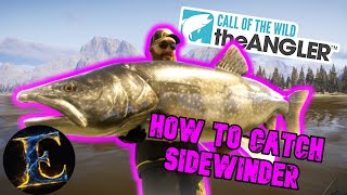 How to catch SIDEWINDER in the Angler [upl. by Amsirac853]