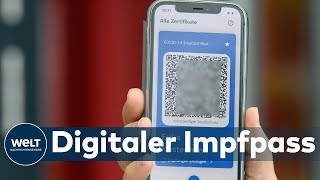 TEURER IMPFAUSWEIS Staat greift für digitalen Impfpass tief in die Tasche  Opposition übt Kritik [upl. by Nitniuq208]