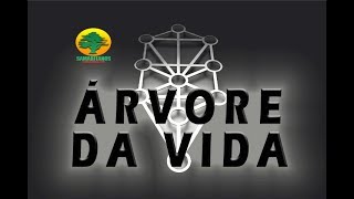 O QUE É ARVORE DA VIDA [upl. by Angelica]