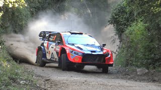 WRC Rallye Sardegna 2024  Jumps amp Flat Out by Gentedetramo [upl. by Jessalyn]